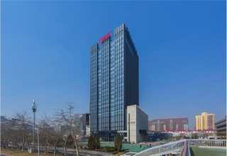 宁波舟山港好的海运货运公司