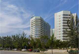 上海老竹刻品售卖行情怎么样