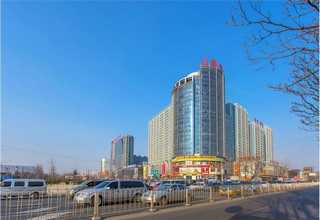 广东骨质瓷原料价格